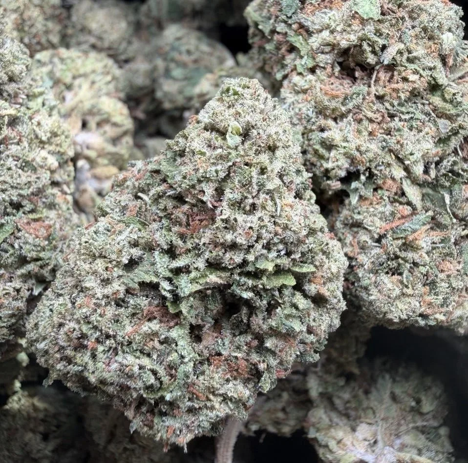 Jet Fuel Gelato 🍧 $59 OZ Living soil Sungrown