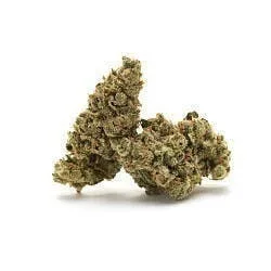 TRAIN WRECK - TOP SHELF FLOWER