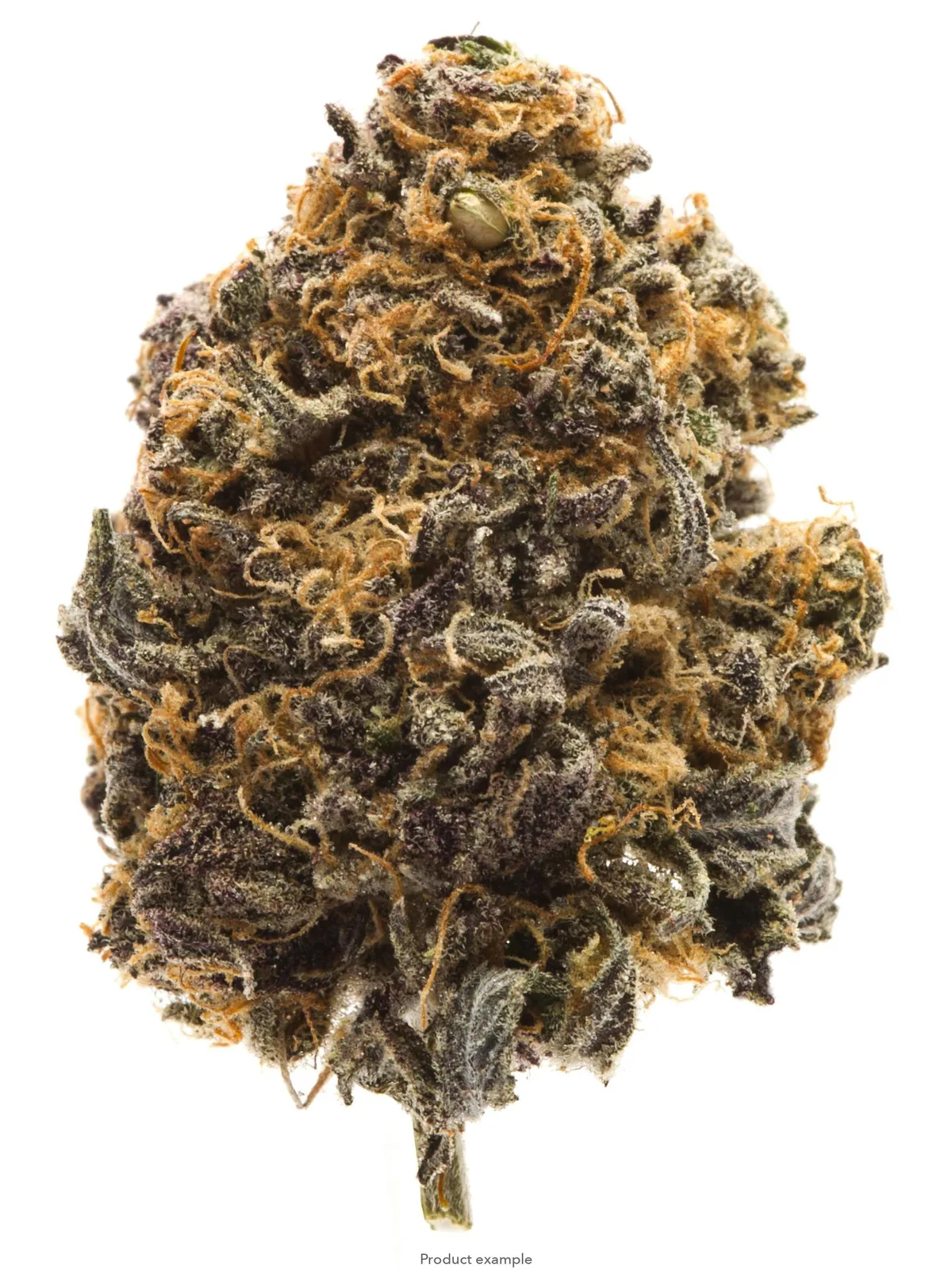Top Tier - 10GS GMO JELLY (32%)