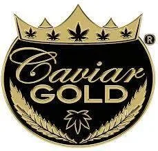 Cavi Cone | Infused Pre-Roll | Blue Dream | 1.5g