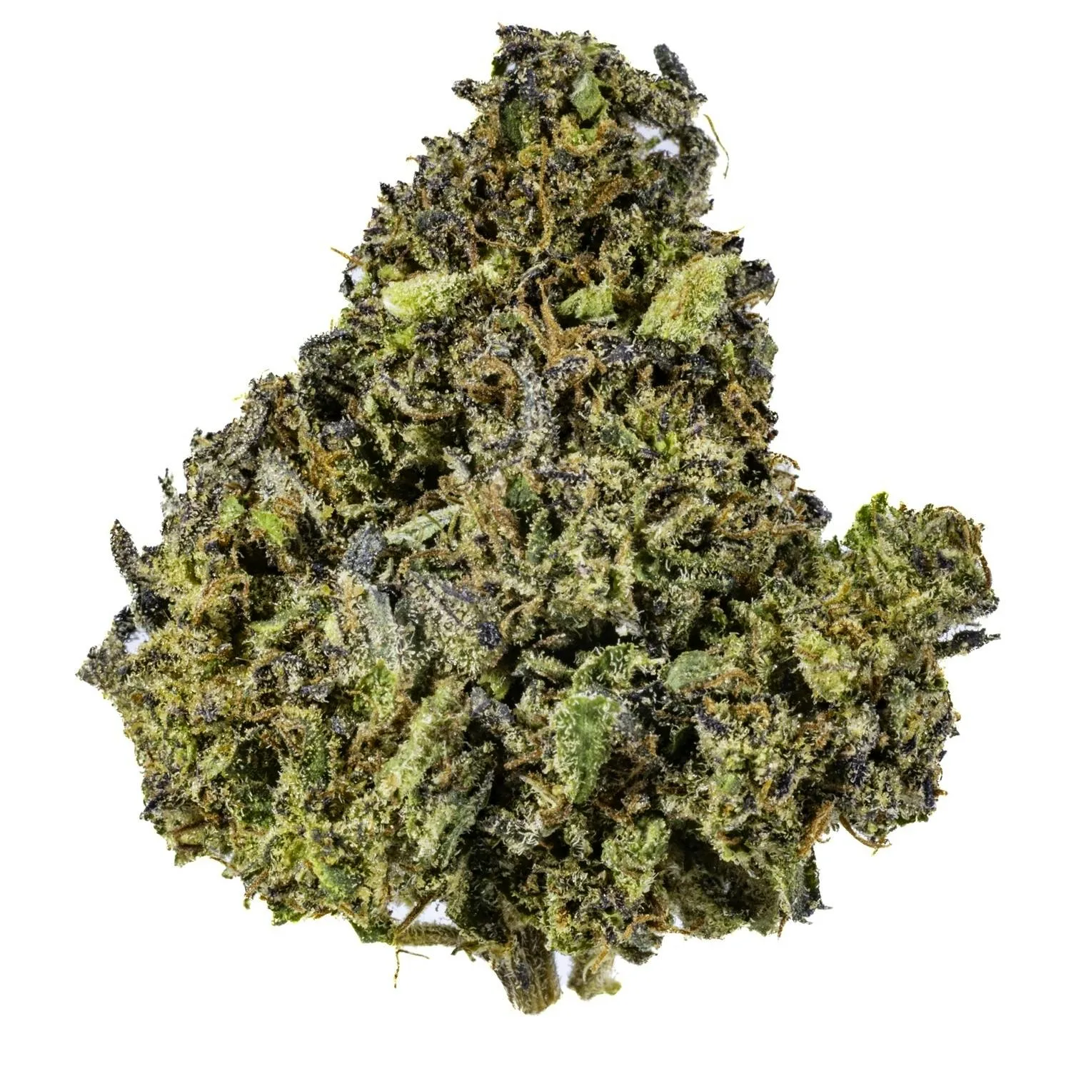 Thai Lotus - 28G Premium Flower