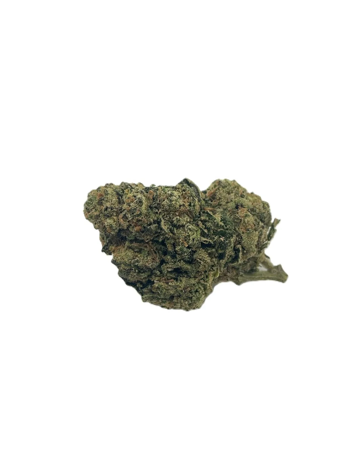 Wedding Cake 14g (Premium Indoor Hybrid 33.4%)