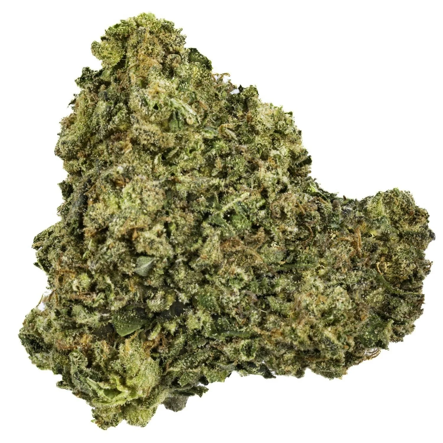 Froot Stripez - 14G Premium Flower