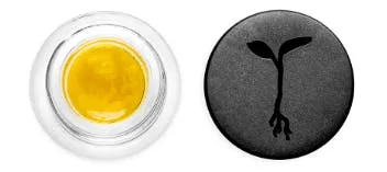 RAW GARDEN: Permanent Marker 1g Live Sauce (H)