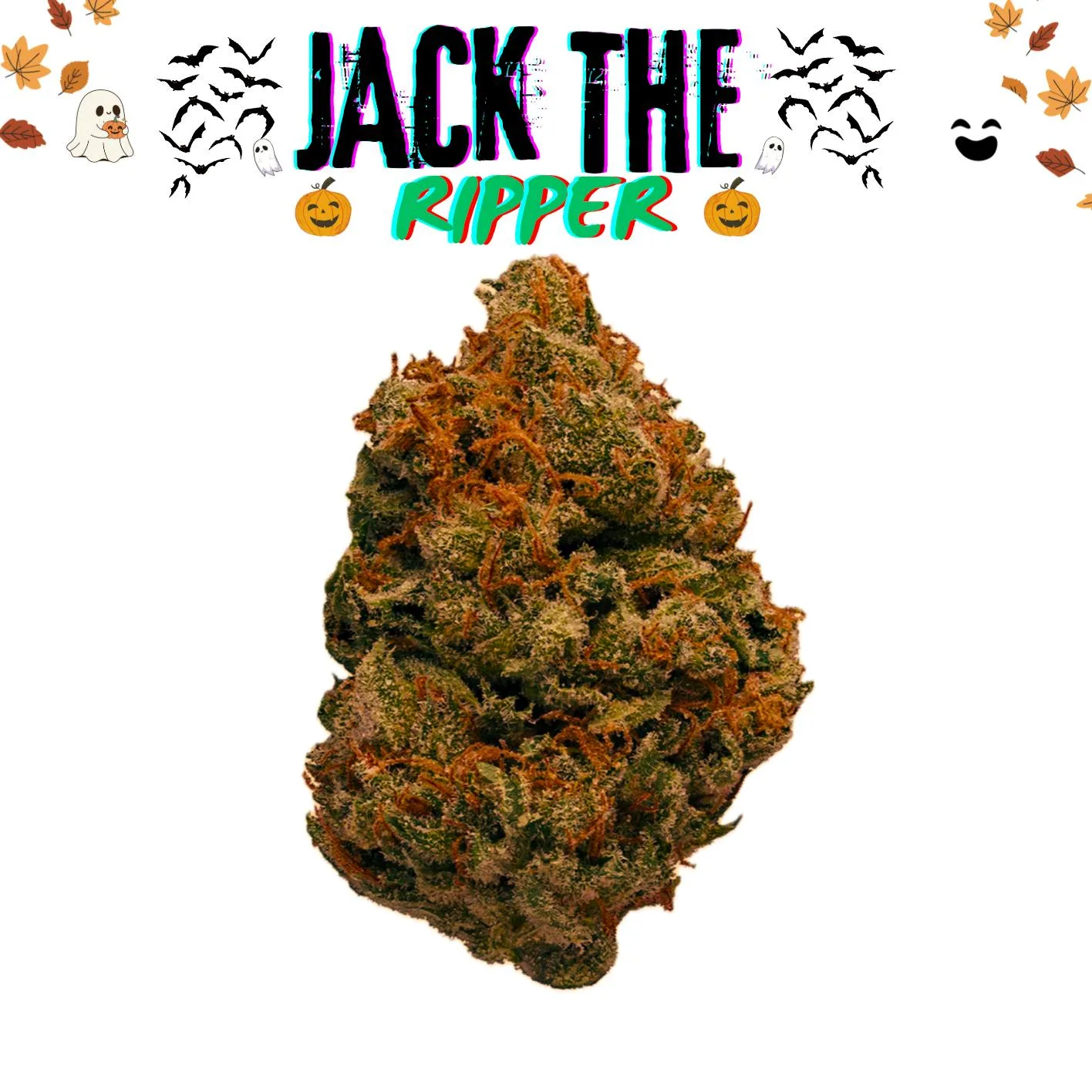 Jack the Ripper-14G-[ TOP ] -2026 Exclusive Flower
