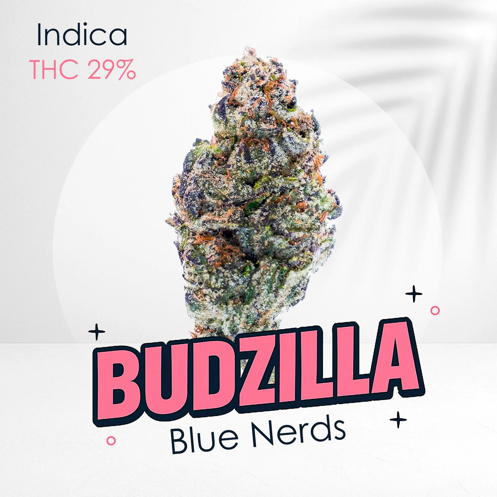 Blue Nerds -Premium shelf
