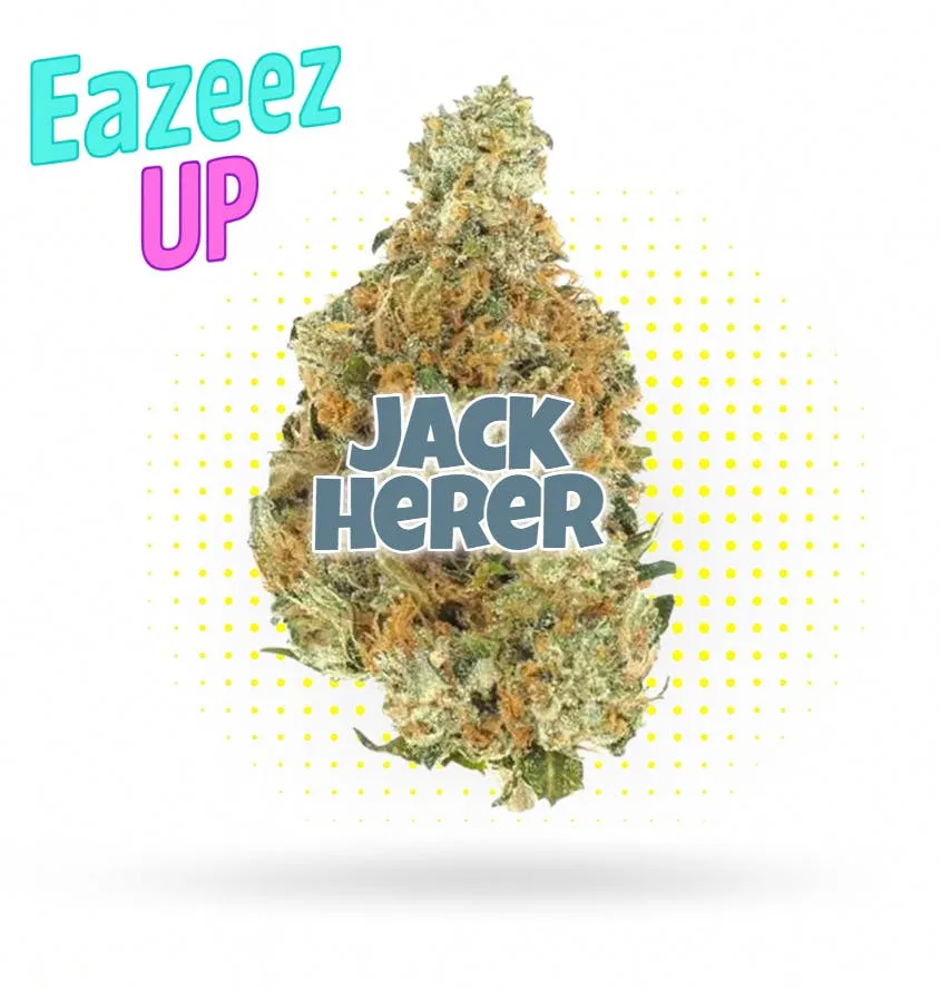 Eazeez Up - Jack Herer - Top Indoor - New Drop- (28g-1oz) - Hybrid/Sativa