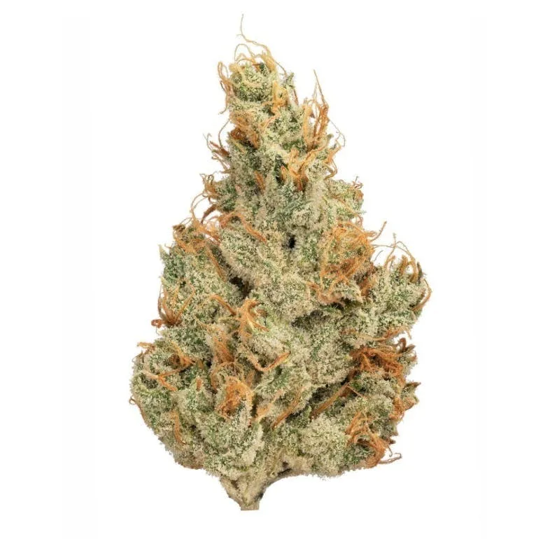 TANGIE EXPRESS - TOP SHELF FLOWER
