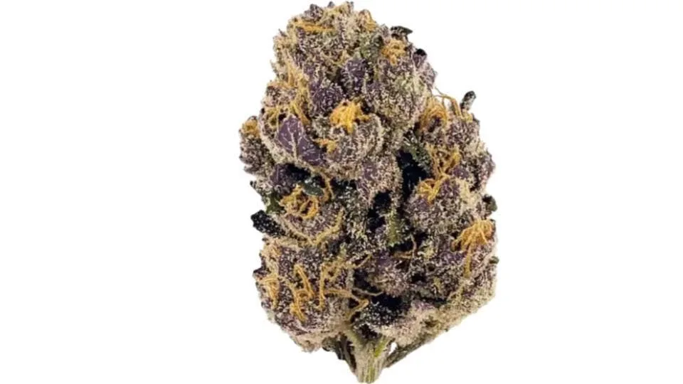 Purple Champagne - Top Shelf Flower