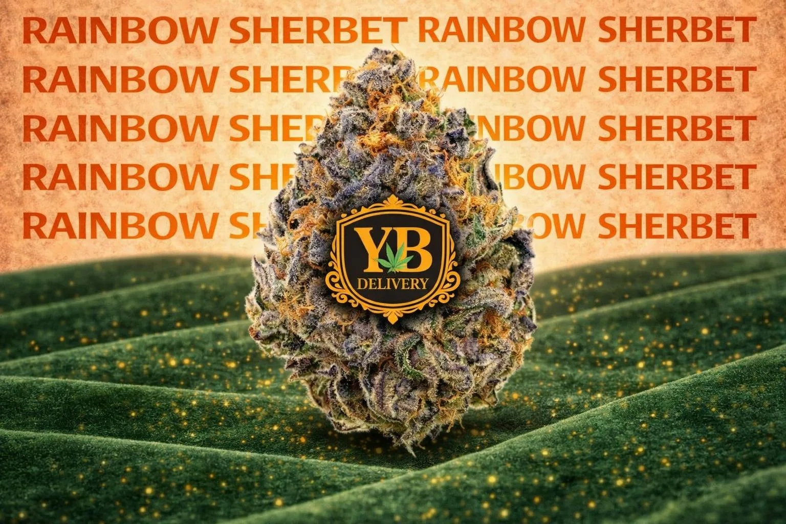 YB | RAINBOW SHERBET 28.92% (3.5G TOP-SHELF FLOWERS)HYBRYD