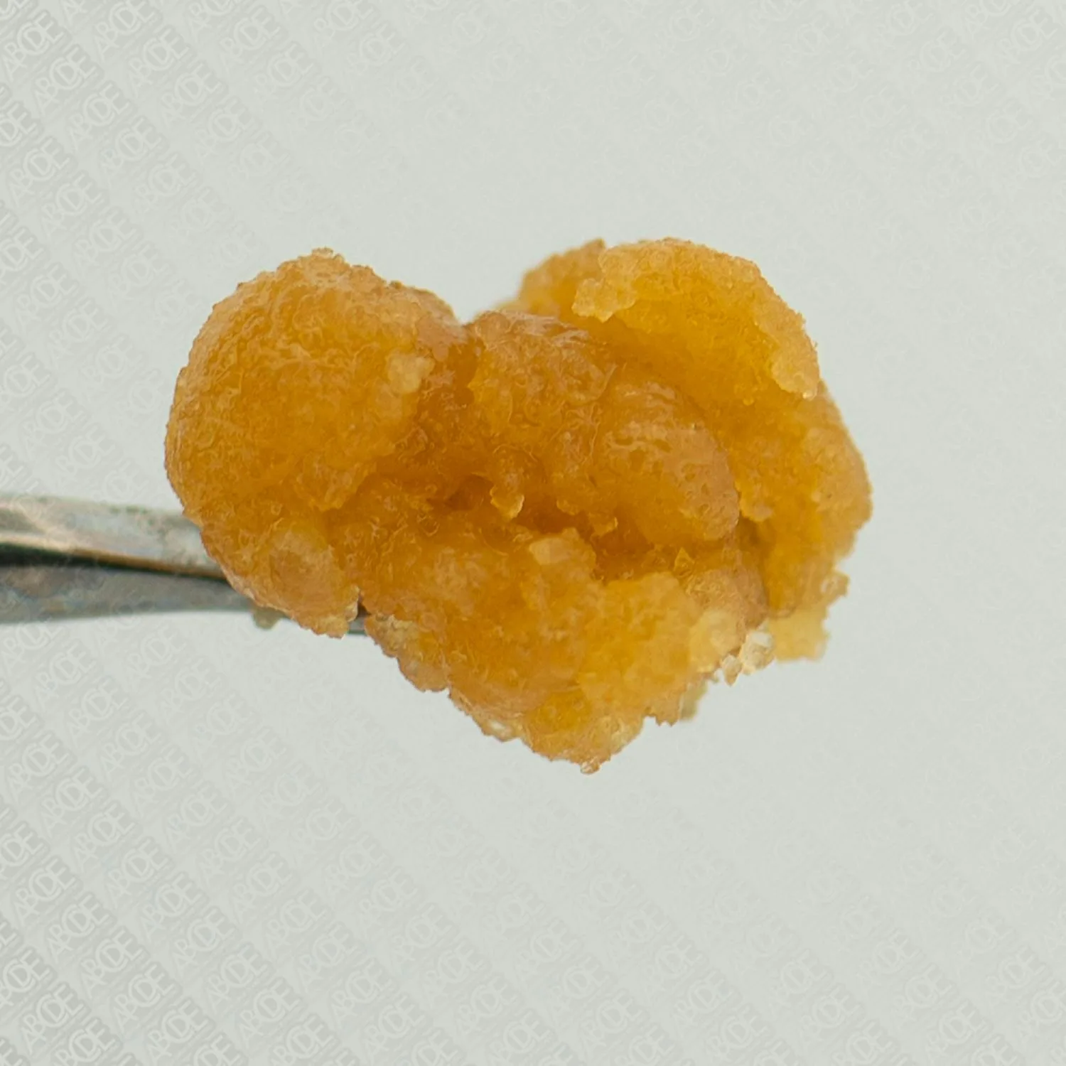 ABCDE - Concentrate - Cherry Punch Jam - 1G