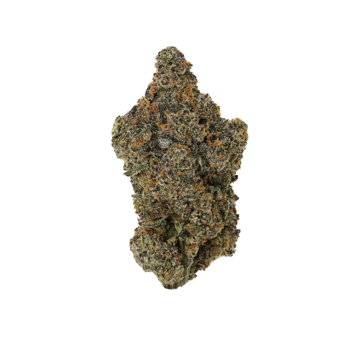 Biscotti -Top shelf