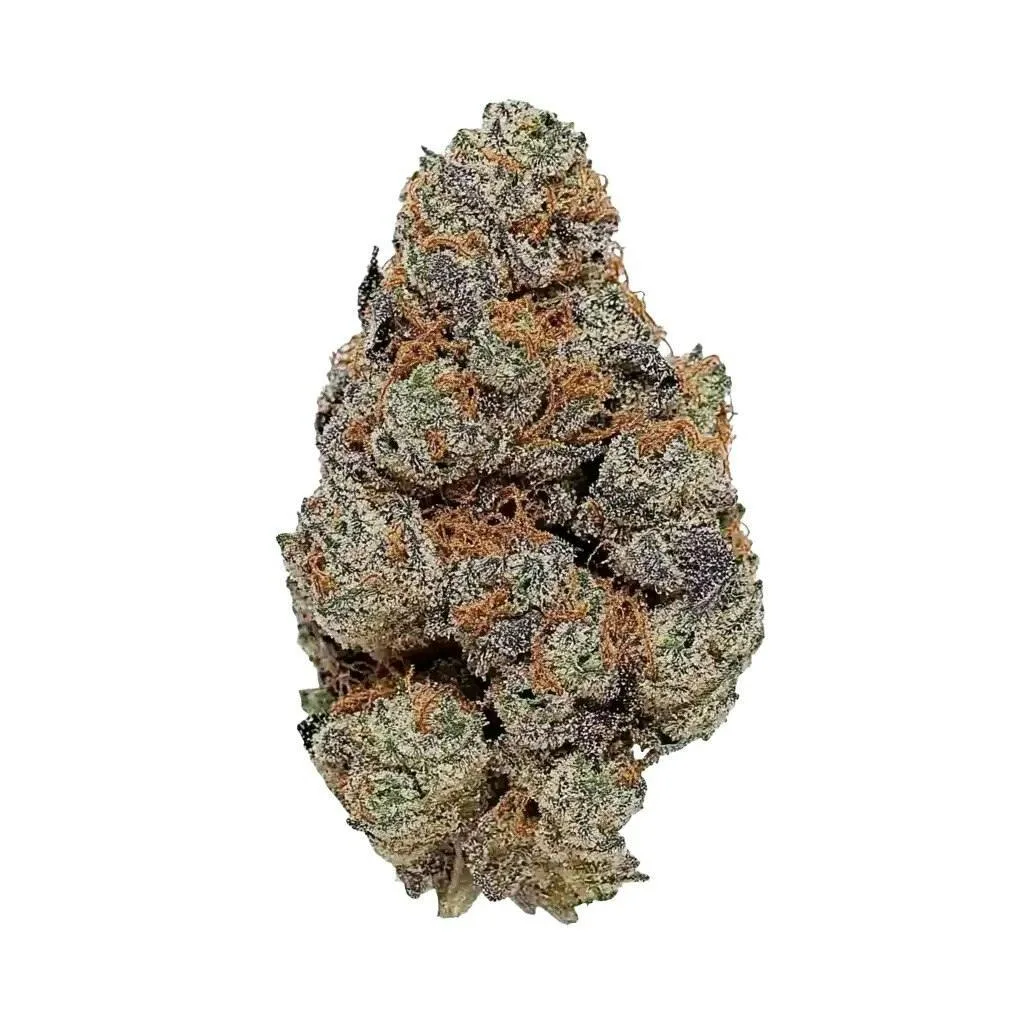 FROSTRED DONUTS - EX PREMIUM SHELF FLOWER