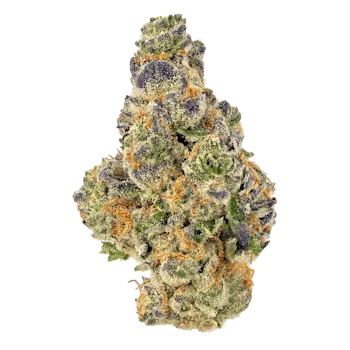 Marygold | Lemon Cherry Sherbert | Big Buds | 3.5g