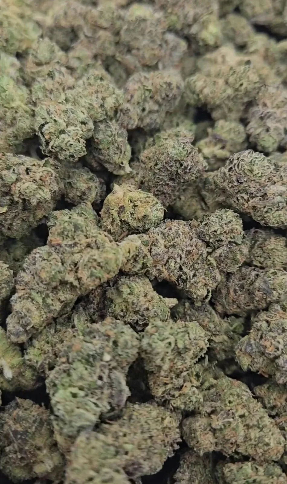 1 Half Ounce Special $50