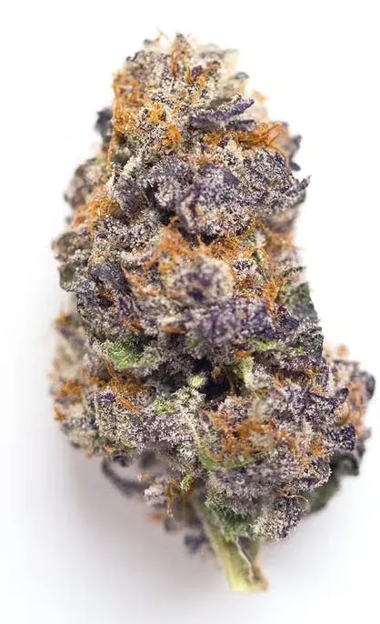 Candyland - Sativa - 30% THC
