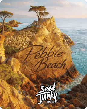 Seed Junky | Pebble Beach | Smalls | 14g