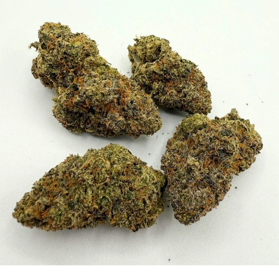 Oreo - MIXED LIGHT