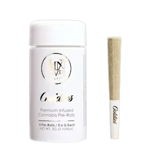 Maven - Preroll - Goldies - Key Lime Jack - 5 Pack