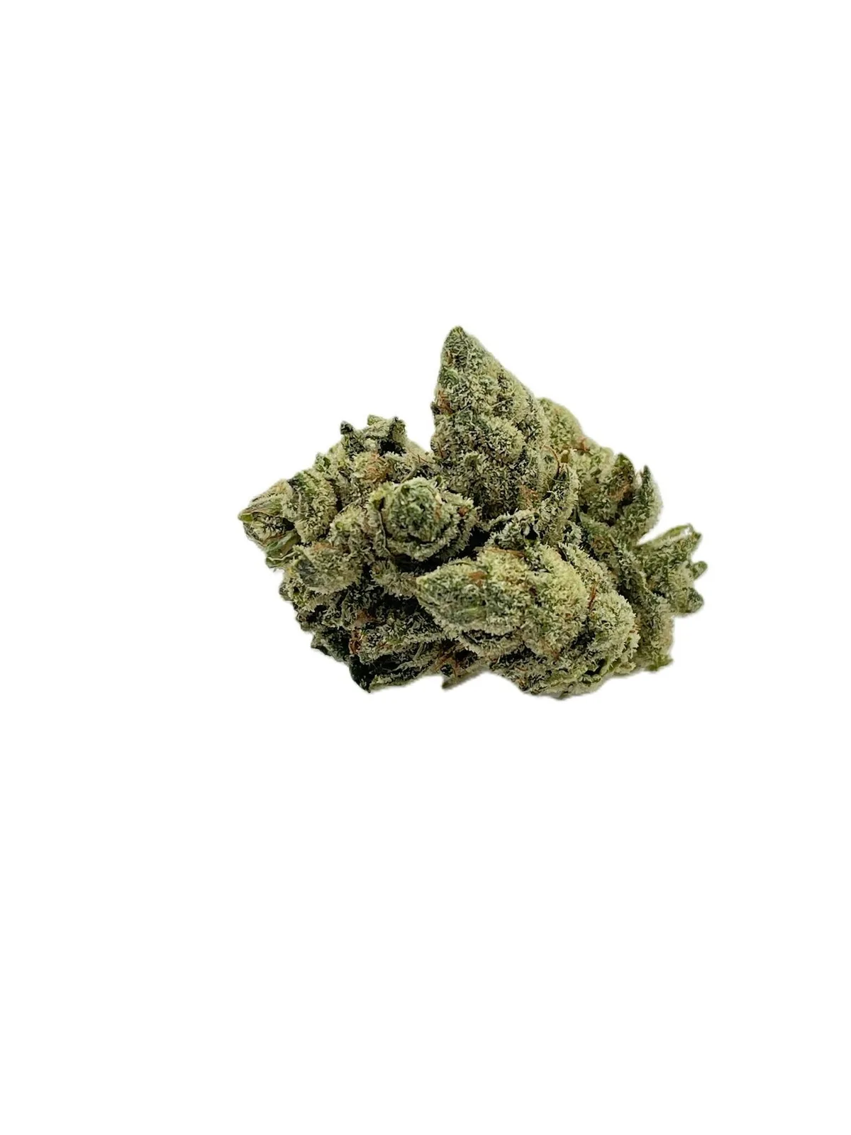 White Gorilla Glue 14g (Premium Indoor Hybrid 33.5%)