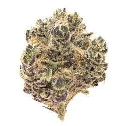 PURPLE REIGN - TOP SHELF FLOWER