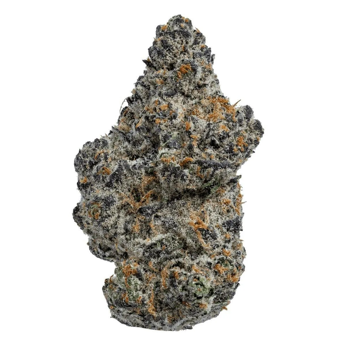 BLACK RUNTZ - TOP SHELF FLOWER