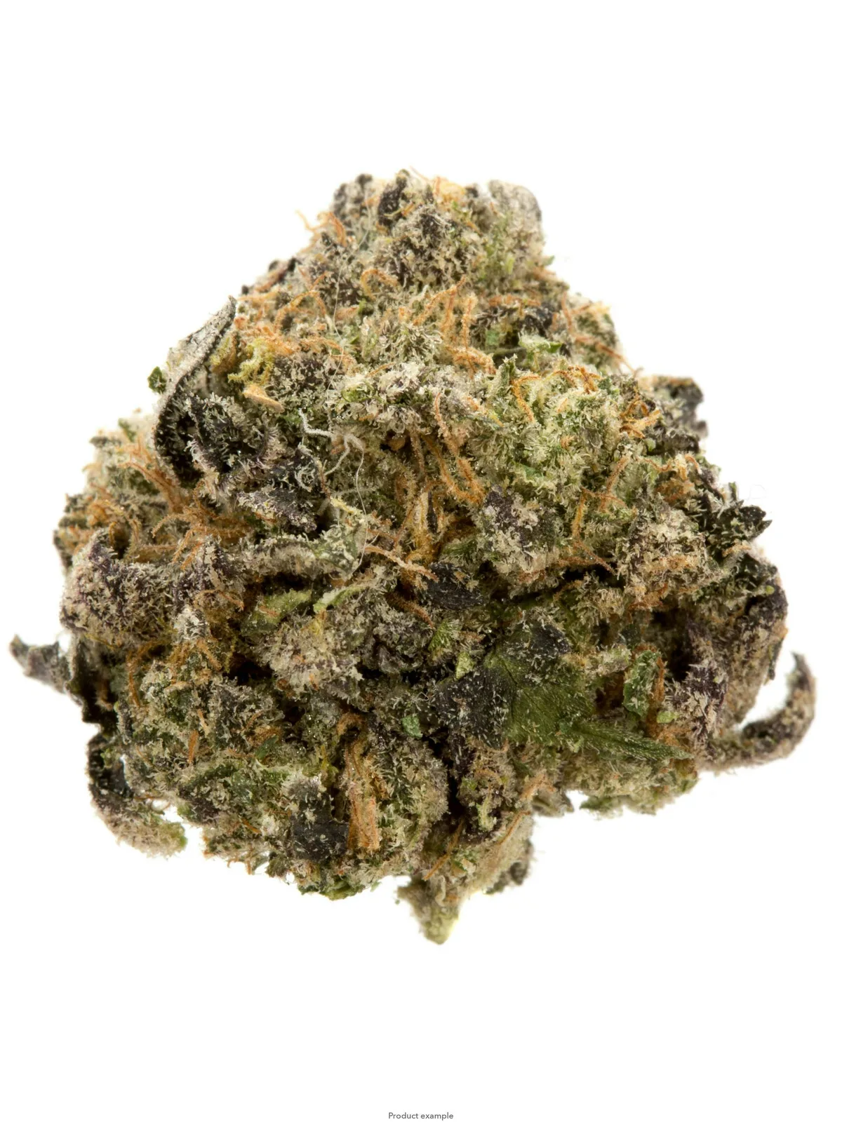 Rainbow Sherbet 14G (TOPSHELF INDOOR)
