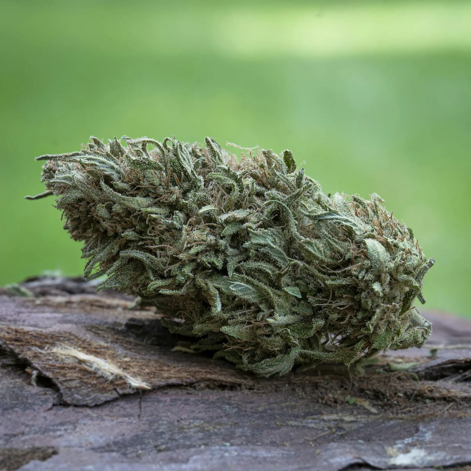 Farm Cut | Emerald Spirit Botanicals | Royal Blueberry | Flower | 7.5g
