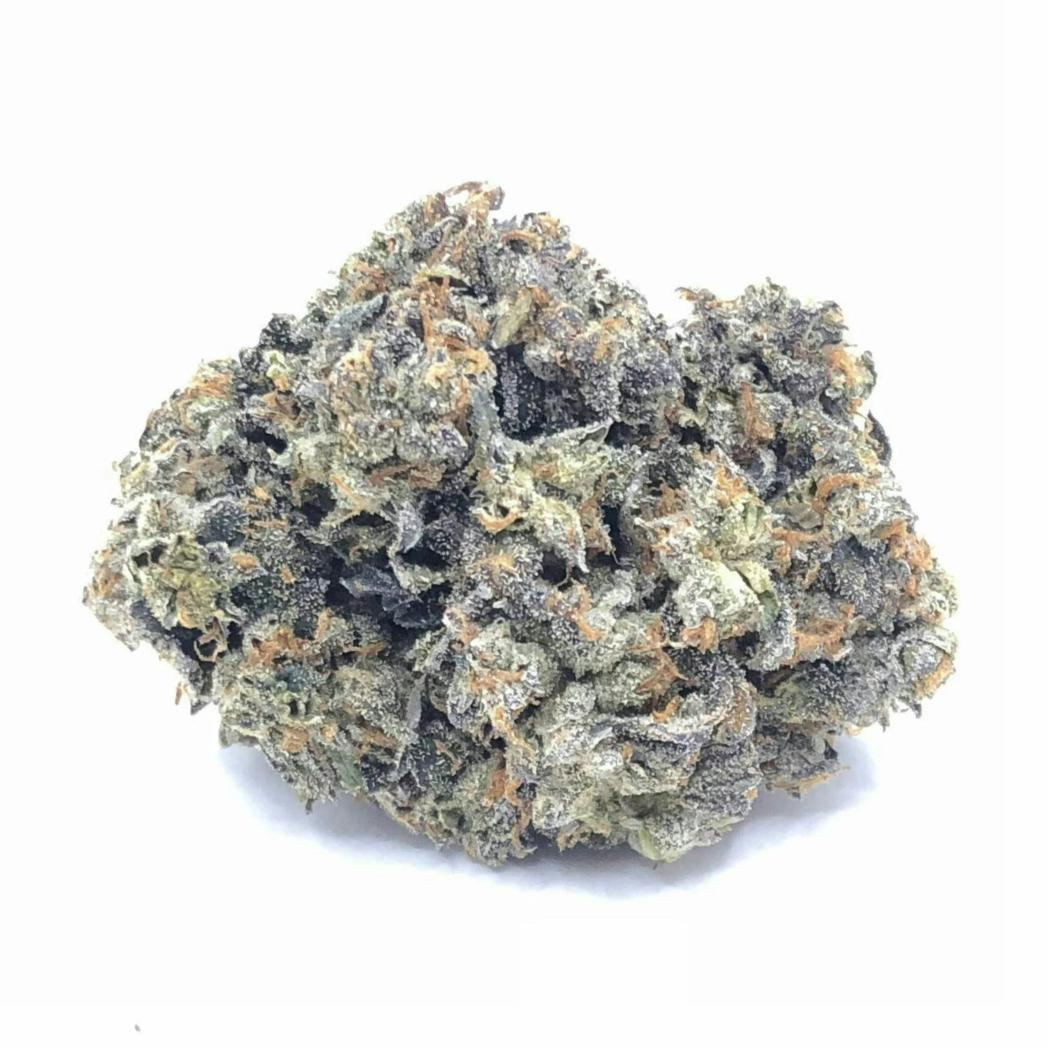 BLACK MAMBA 14G (TOPSHEL INDOOR)