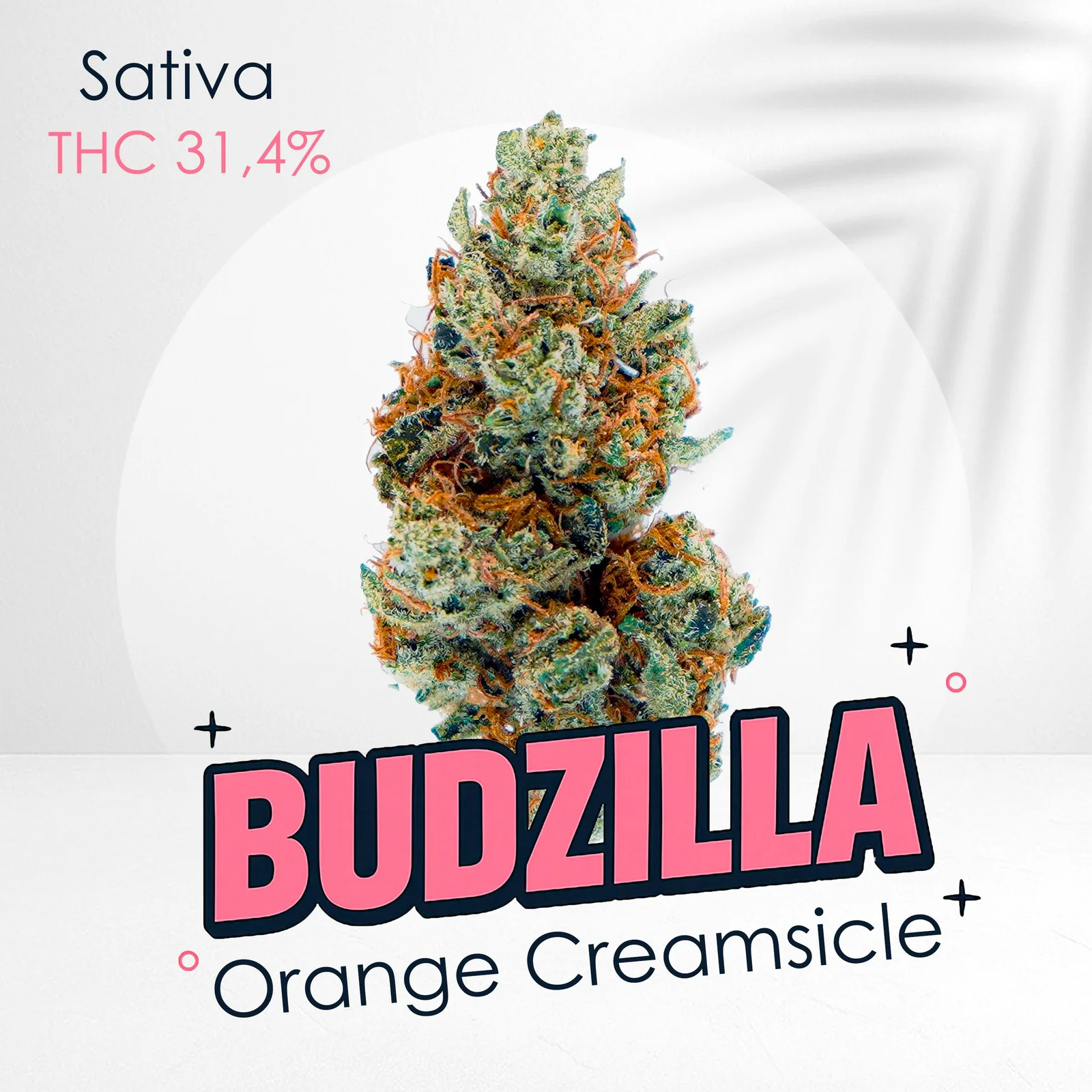 Orange Creamsicle -Top shelf