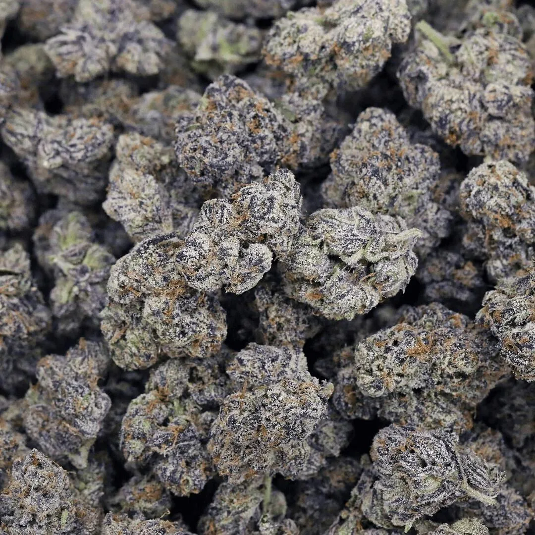 Black Mamba | Exotic Flower Indica