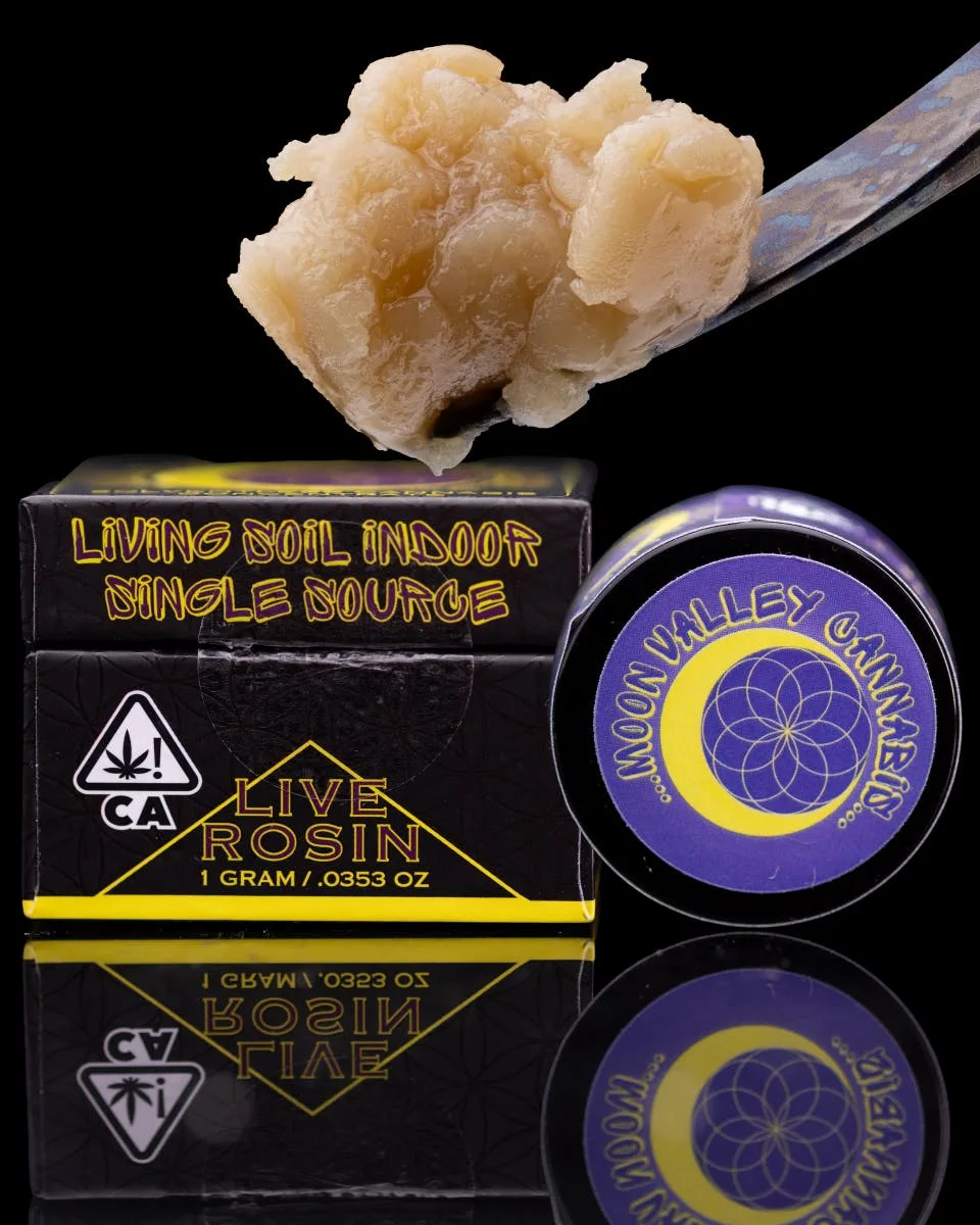 G Nut 8 Solventless Cold Cure Live Rosin 1 G Jar