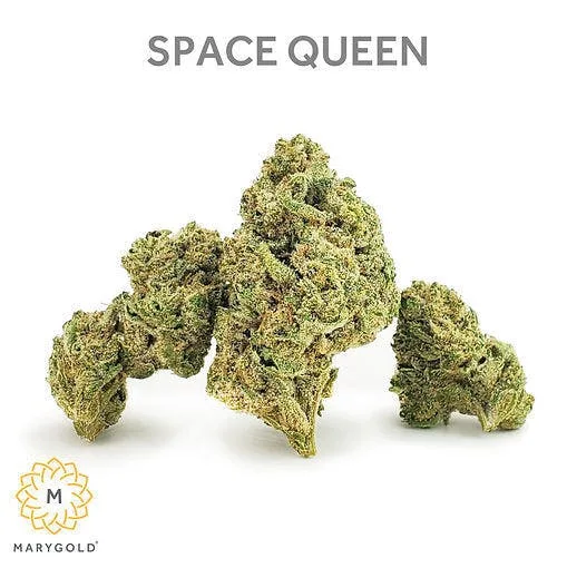 Marygold | Space Queen | Big Buds | 3.5g