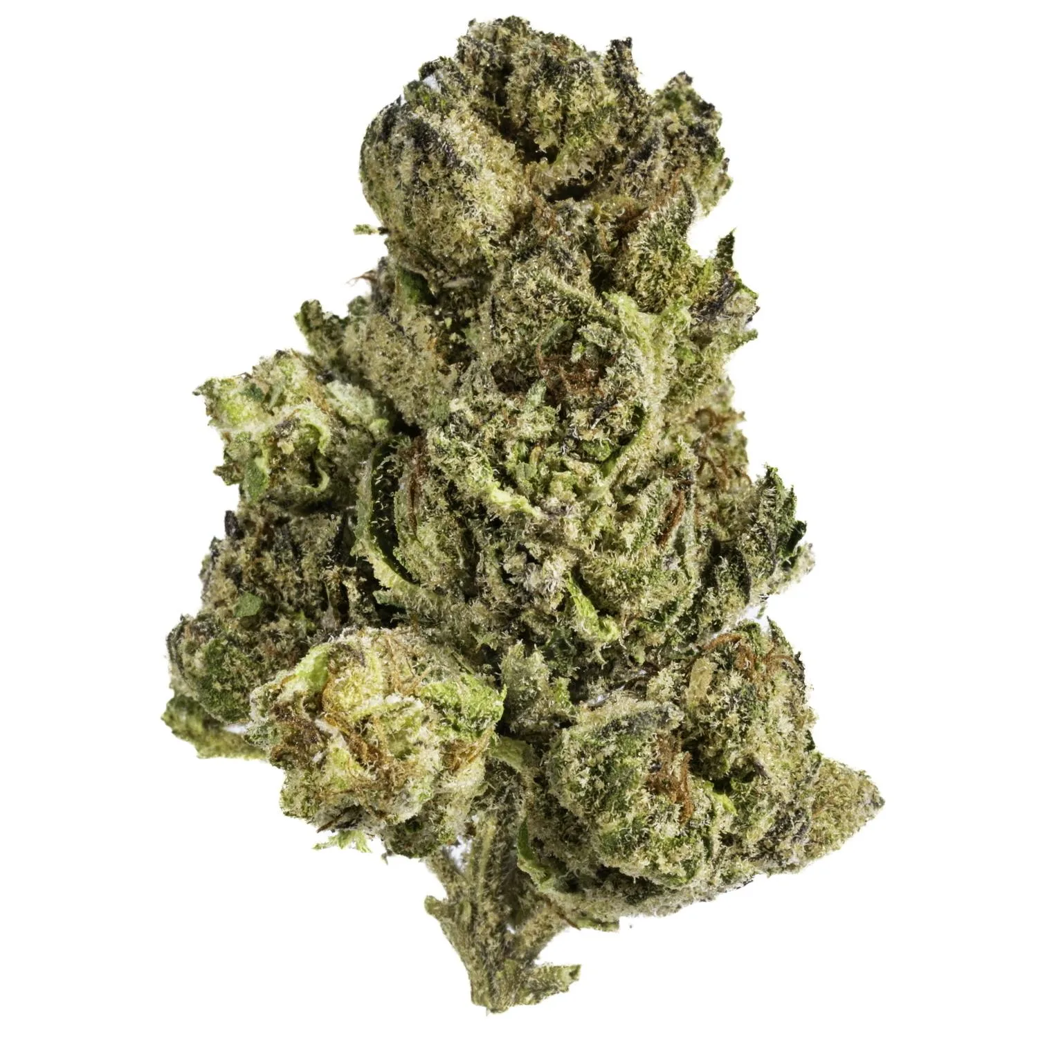 Pink Champagne - 14G Premium Flower