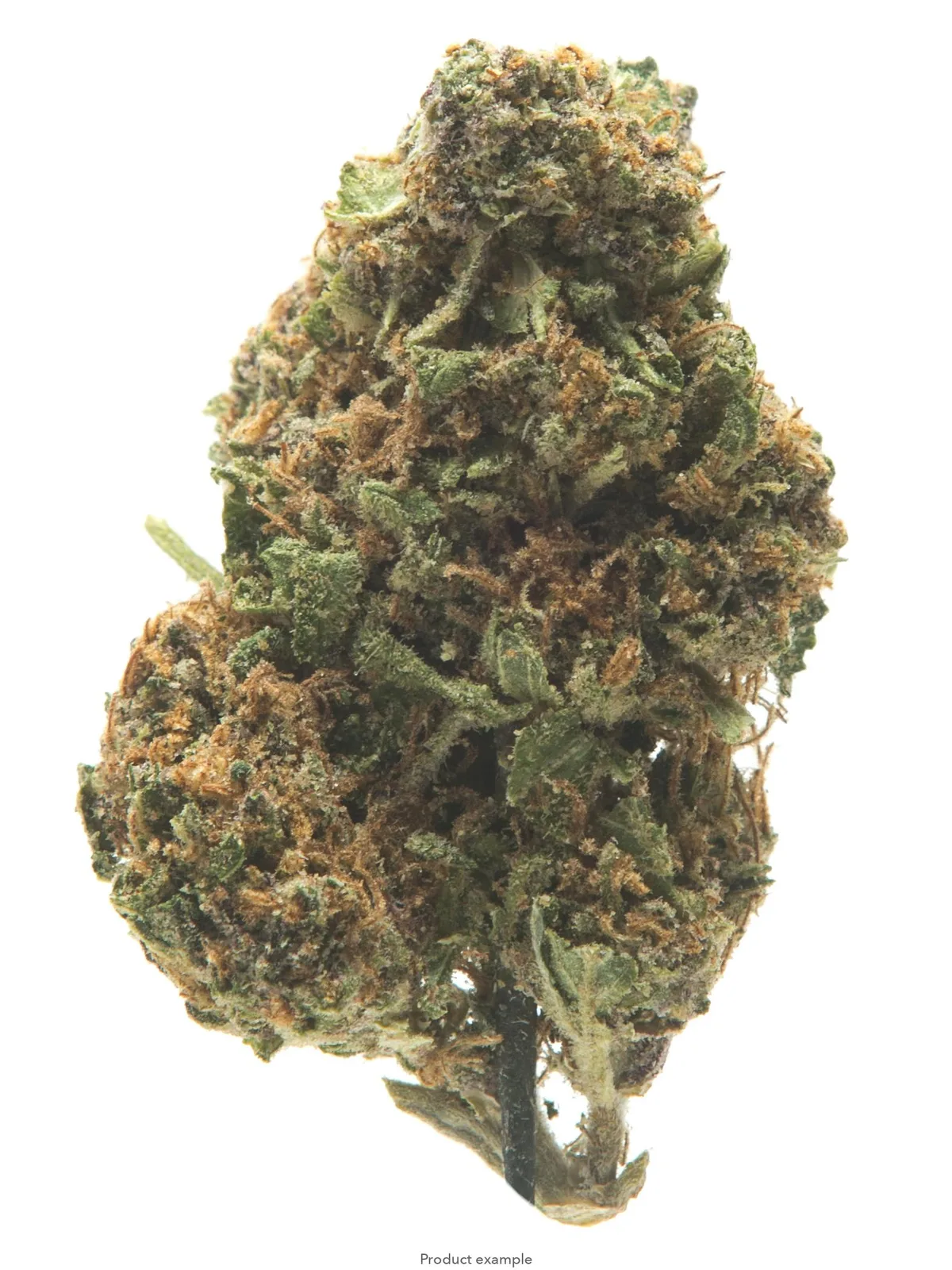 $100 Ounce of the Day - Helena