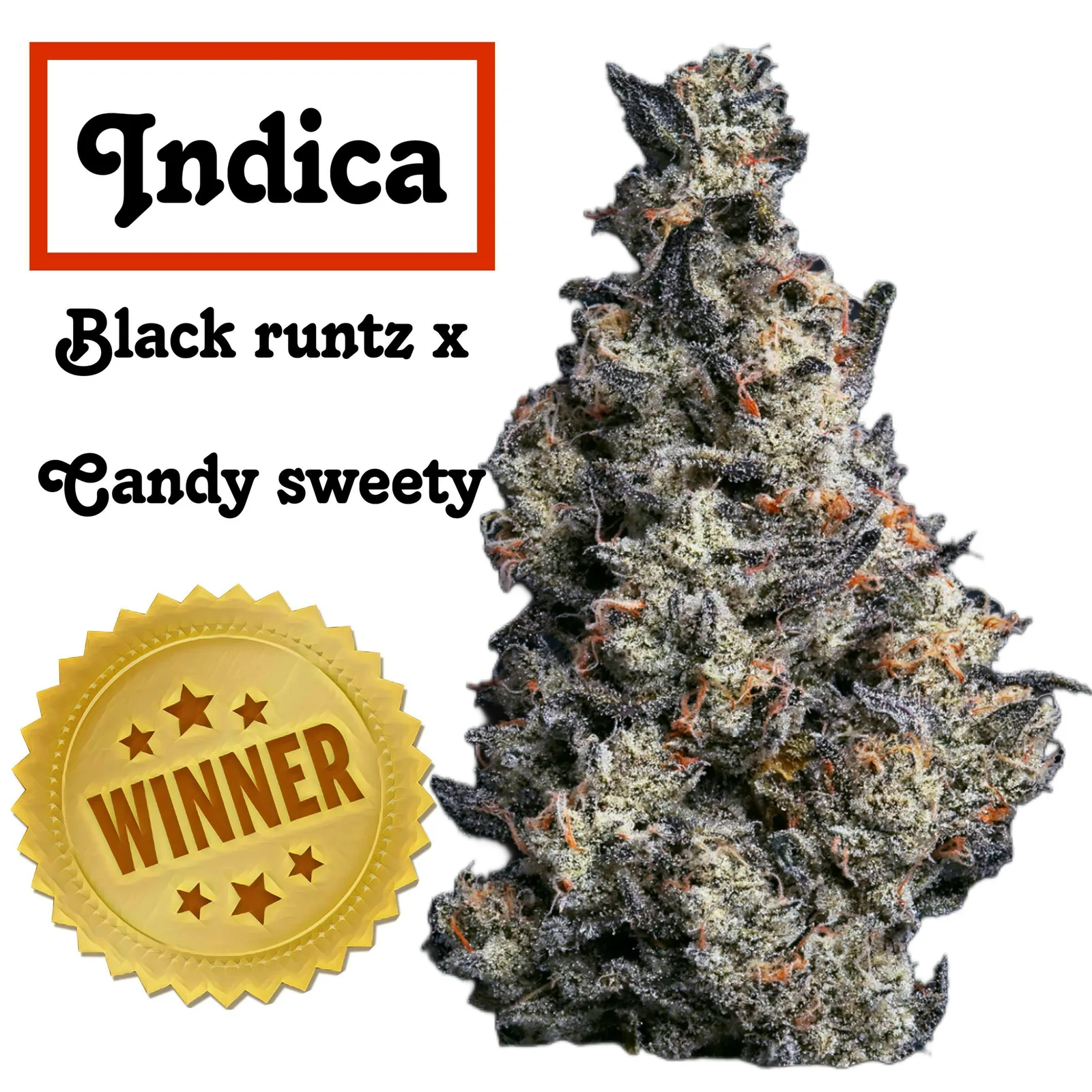 Euphoria Vibes 7g / indoor / Premium Quality