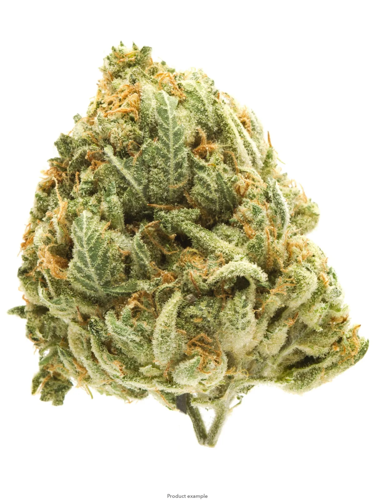 GMO Cookies - 14G Premium Flower