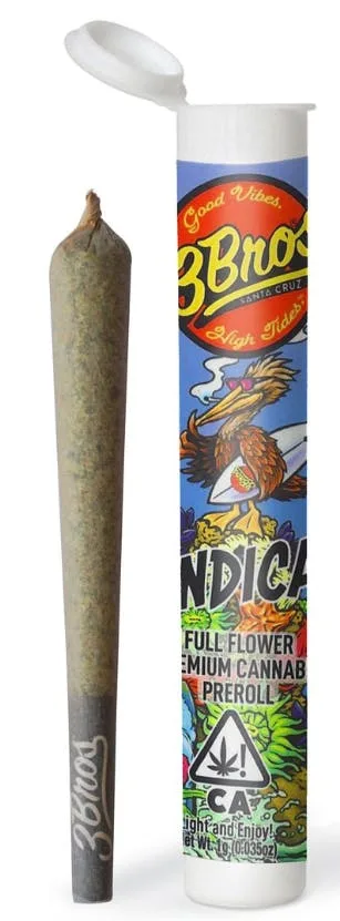 3 BROS: Glitter Bomb 1g Pre-roll (I)