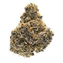 BLACK RUNTZ - TOP SHELF FLOWER