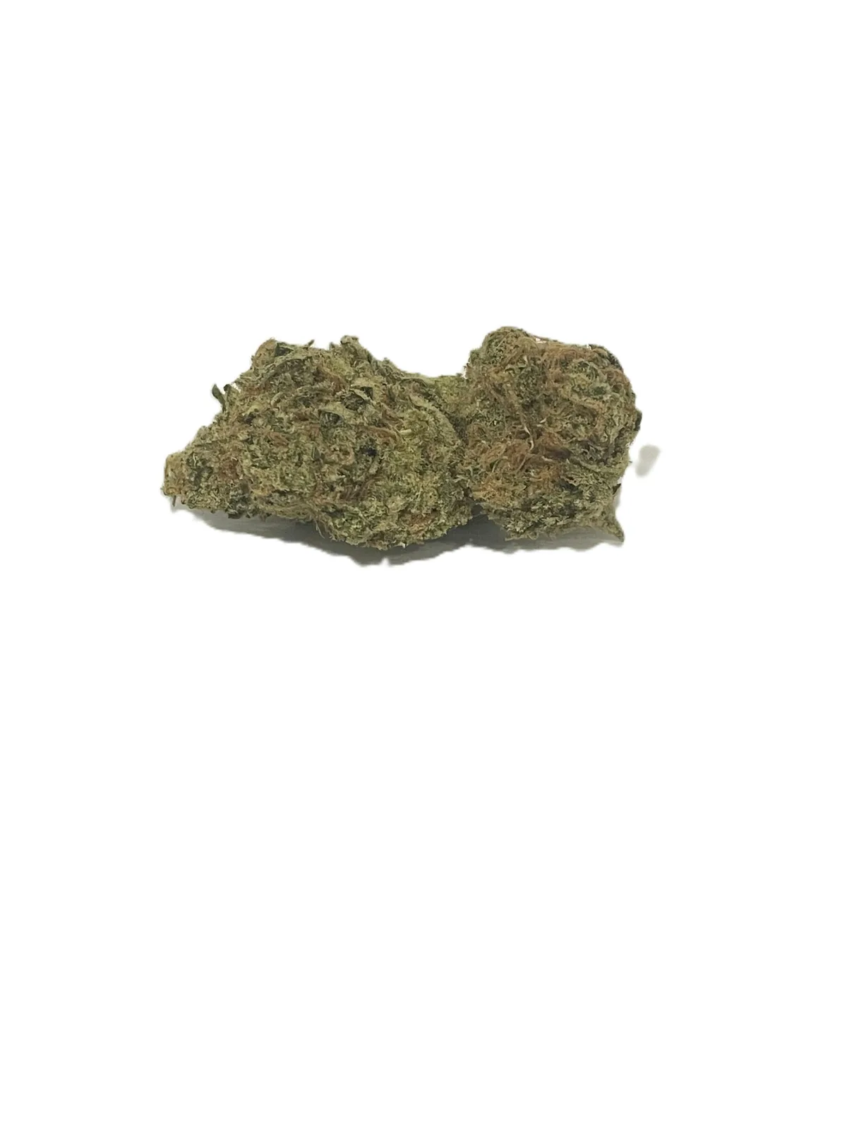 Classic Jack Herer 3.5g (Platinum Indoor Sativa 33.7%)