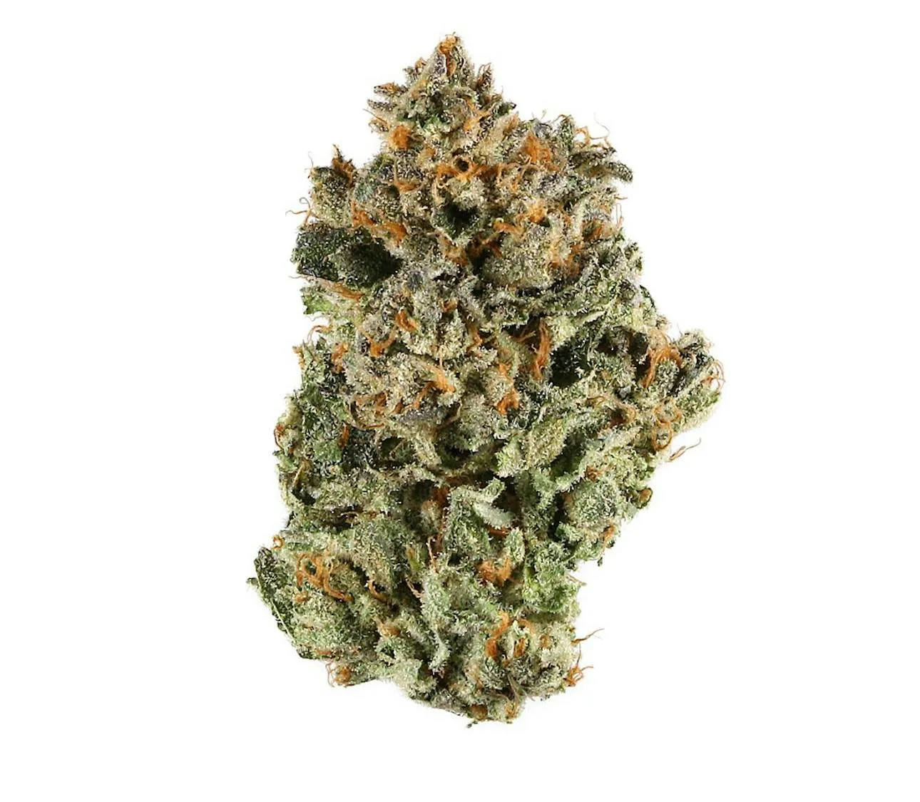 King Sherbet 14g - Premium Indoor Flower