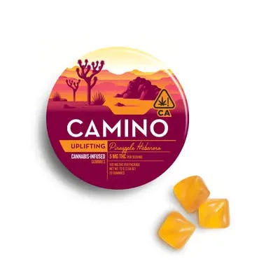 Camino - Pineapple Habanero Gummies