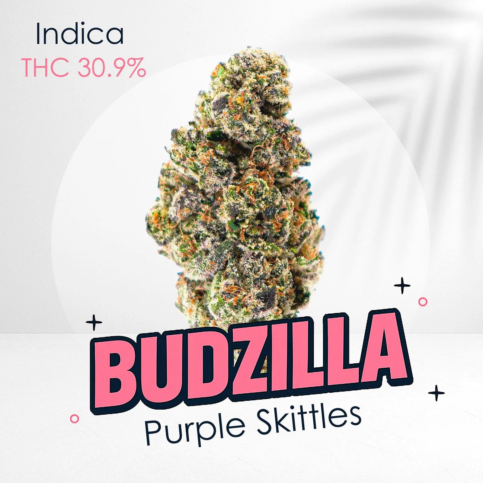 Purple Skittlez -Premium shelf