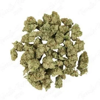 Family Delivery Brand | OZ Special | Tier 3 | Tangie Ghost Train | Indoor Smalls | Sativa | 32.89%