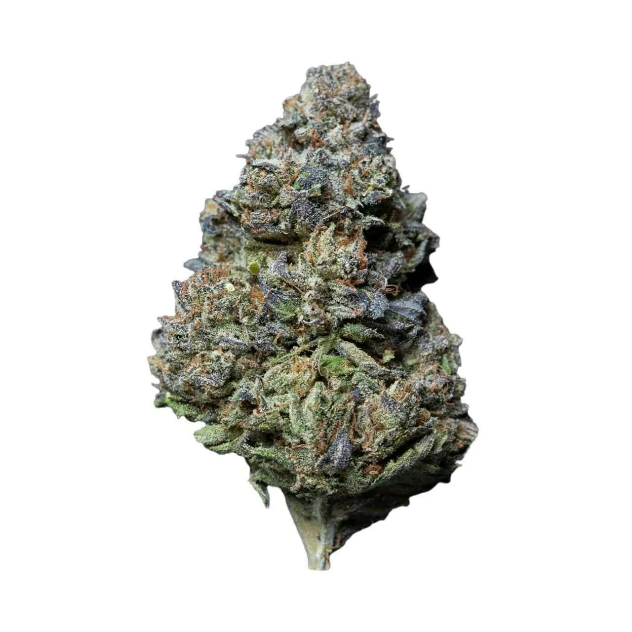 KUSH MINTZ - EX PREMIUM SHELF FLOWER