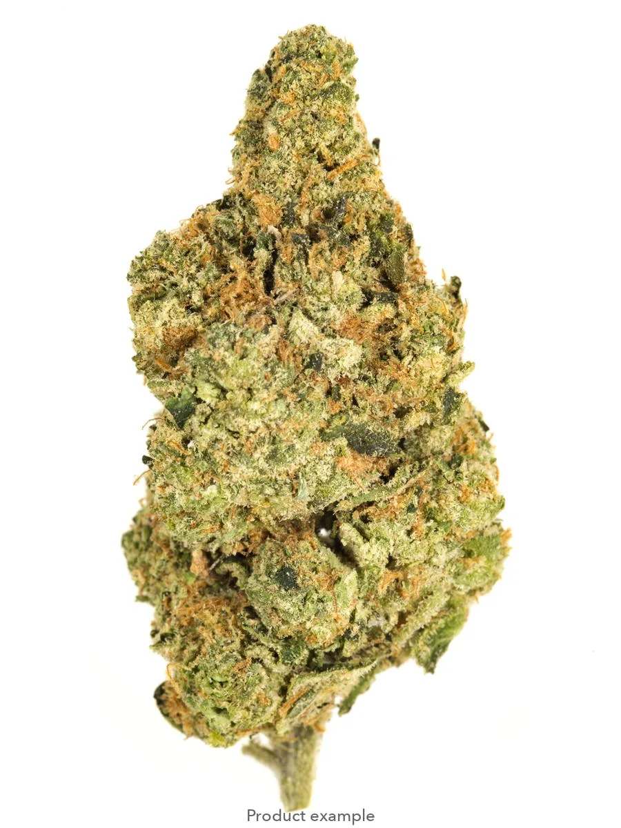 GMO COOKIES SUN GROW 15G