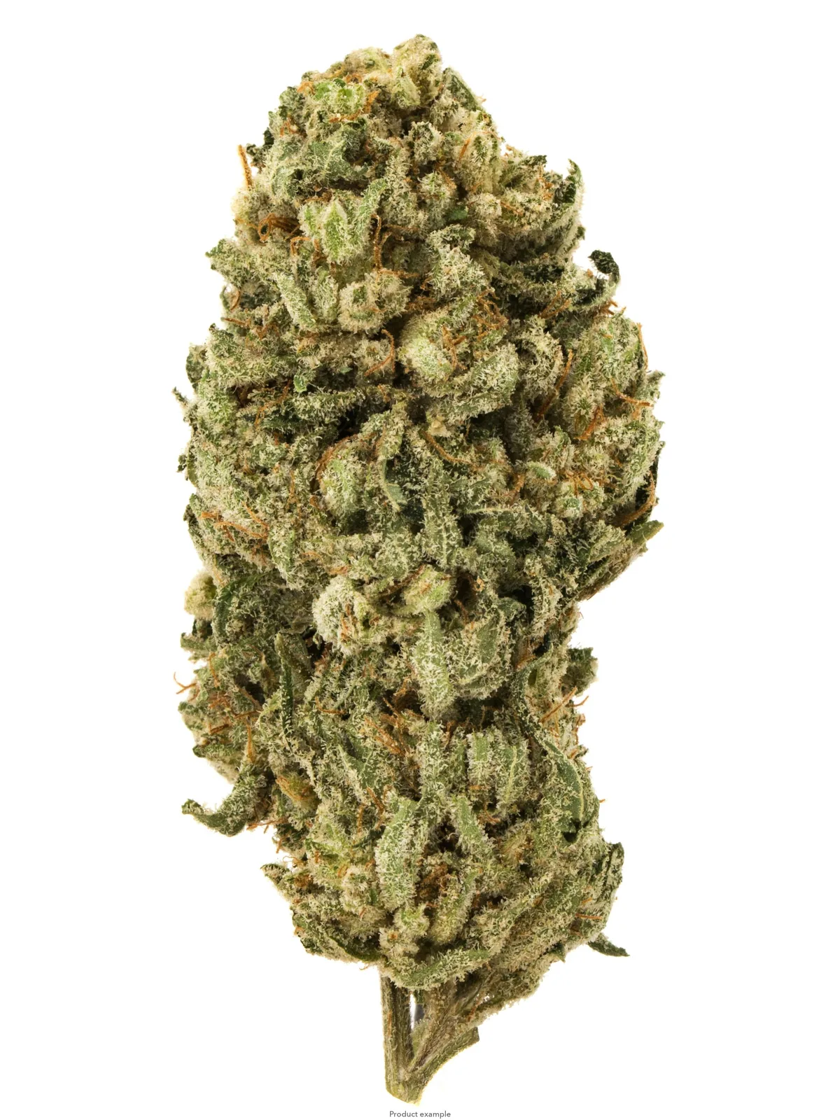 $100 Ounce of the Day - Grease Monkey