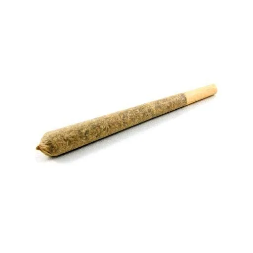 HI - PRE ROLL - CLOUD 9 - 0.5G 2PK