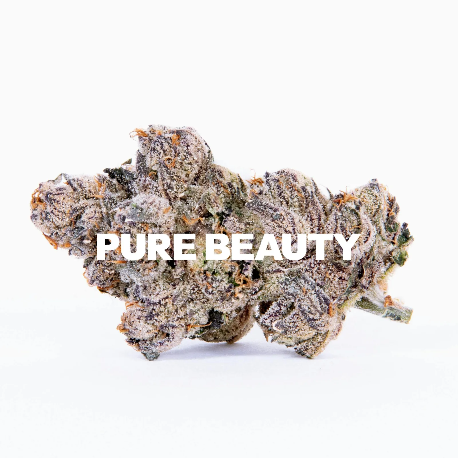 Sweet Purple Haze | 3.5g Indoor