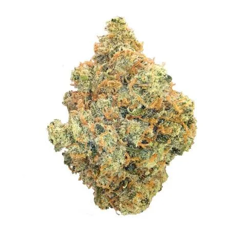 CANDY JACK *ULTRA EXOTIC* (S)